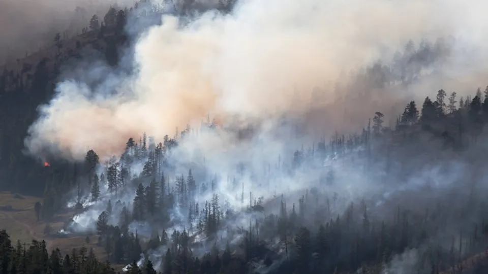 Wildfire Smoke Linked to Thousands of US Deaths Annually