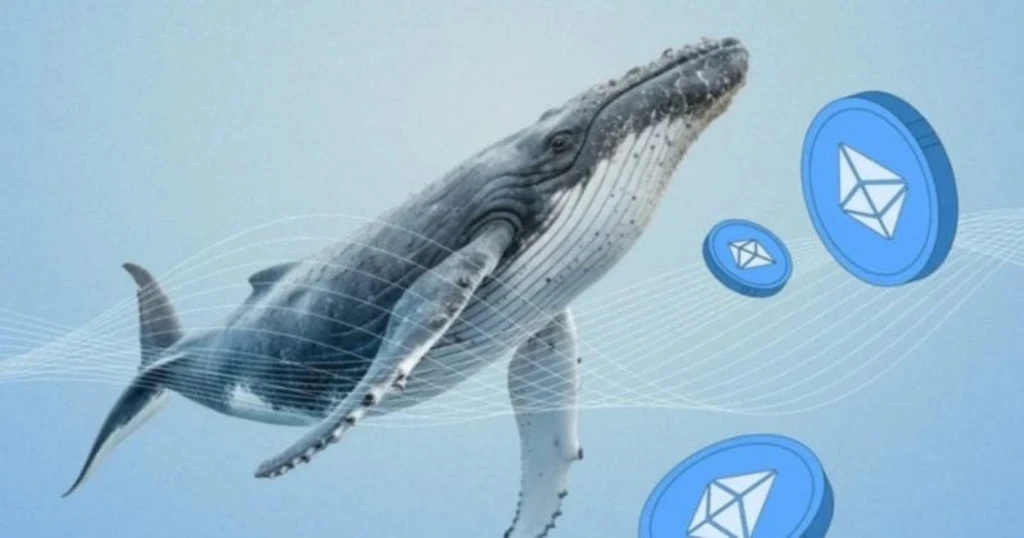 Whale Bets $100 Million Against Ethereum Amid Growing Ecosystem Tensions